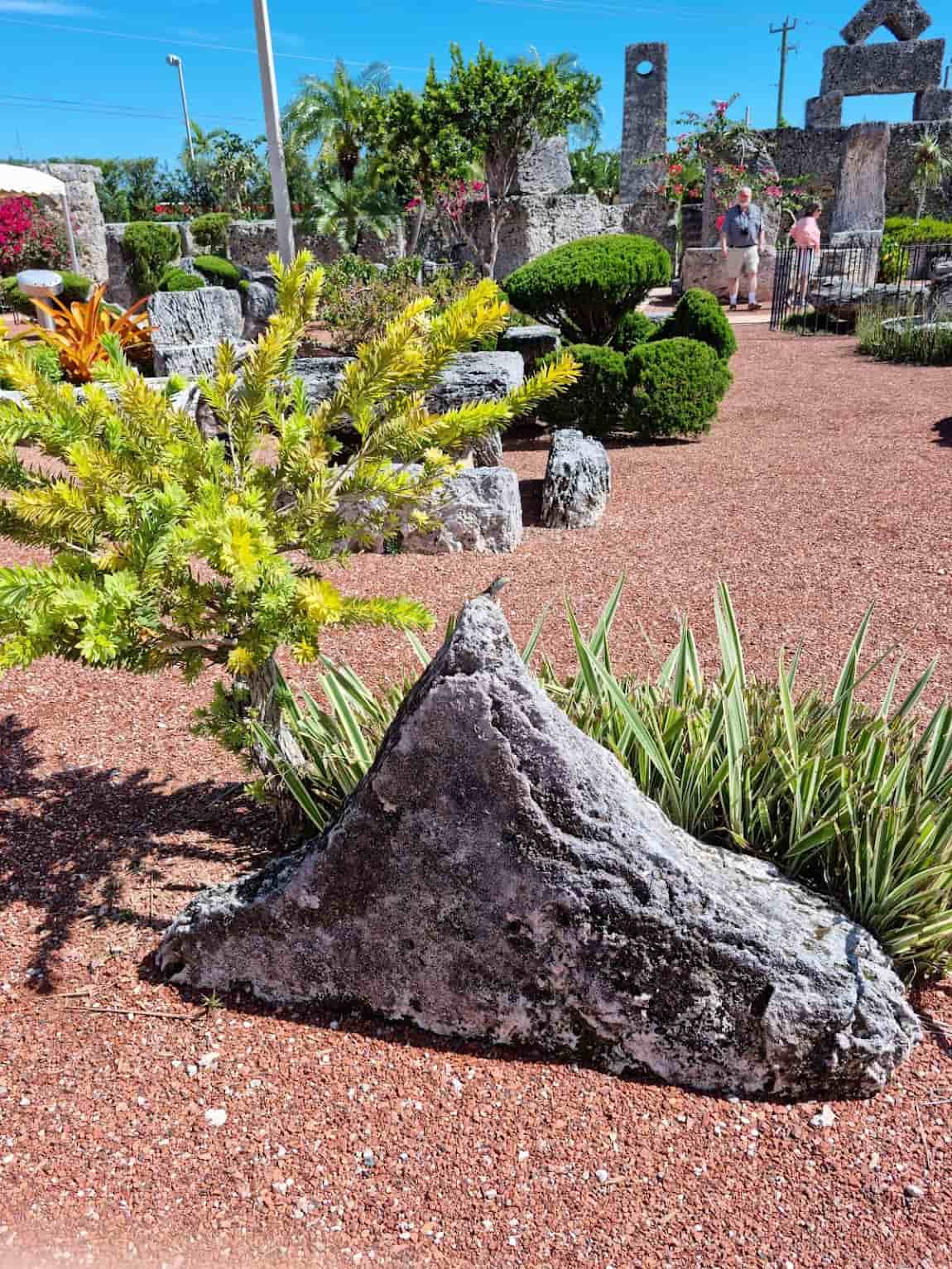 Homestead Area, Everglades National Park Homestead Area, Everglades National Park