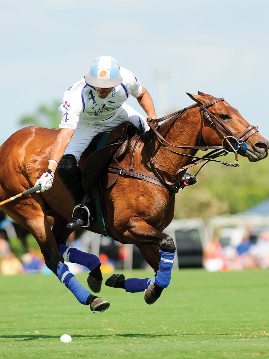 International Polo Club Palm Beach, Palm Beach