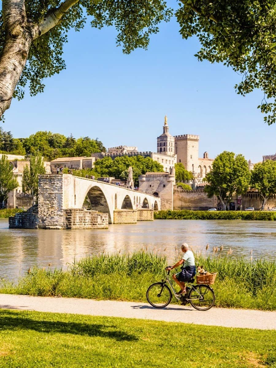 La Barthelasse, Avignon