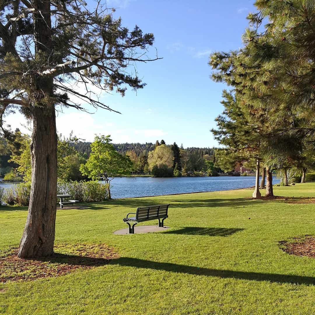 Larkspur, Bend Larkspur, Bend