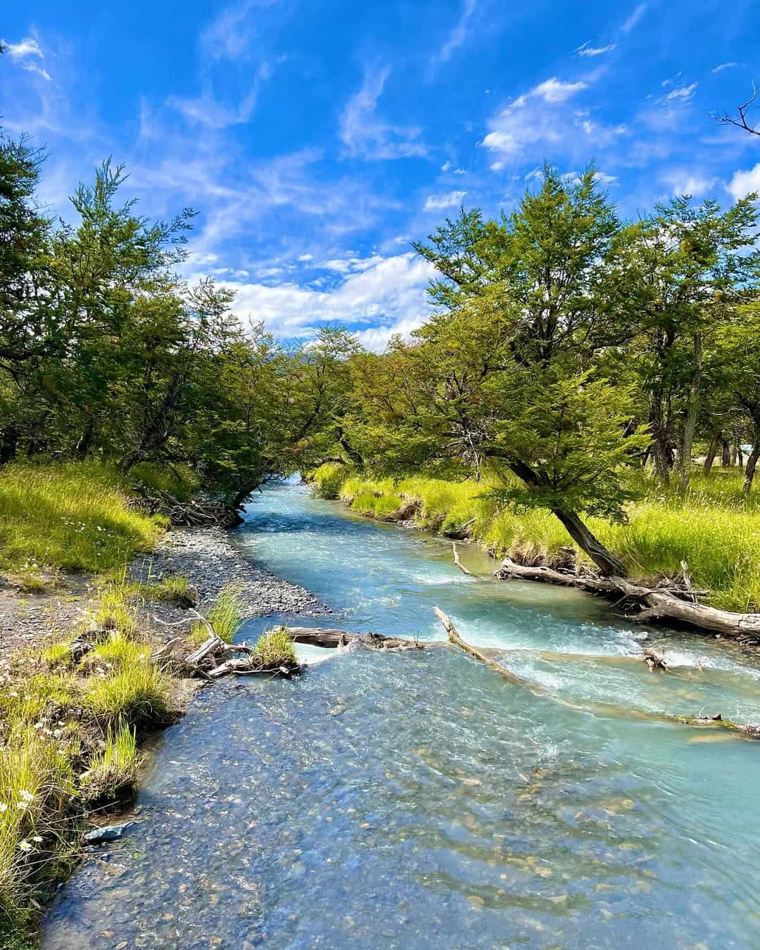 Las Torres Base Area, Torres del Paine Las Torres Base Area, Torres del Paine