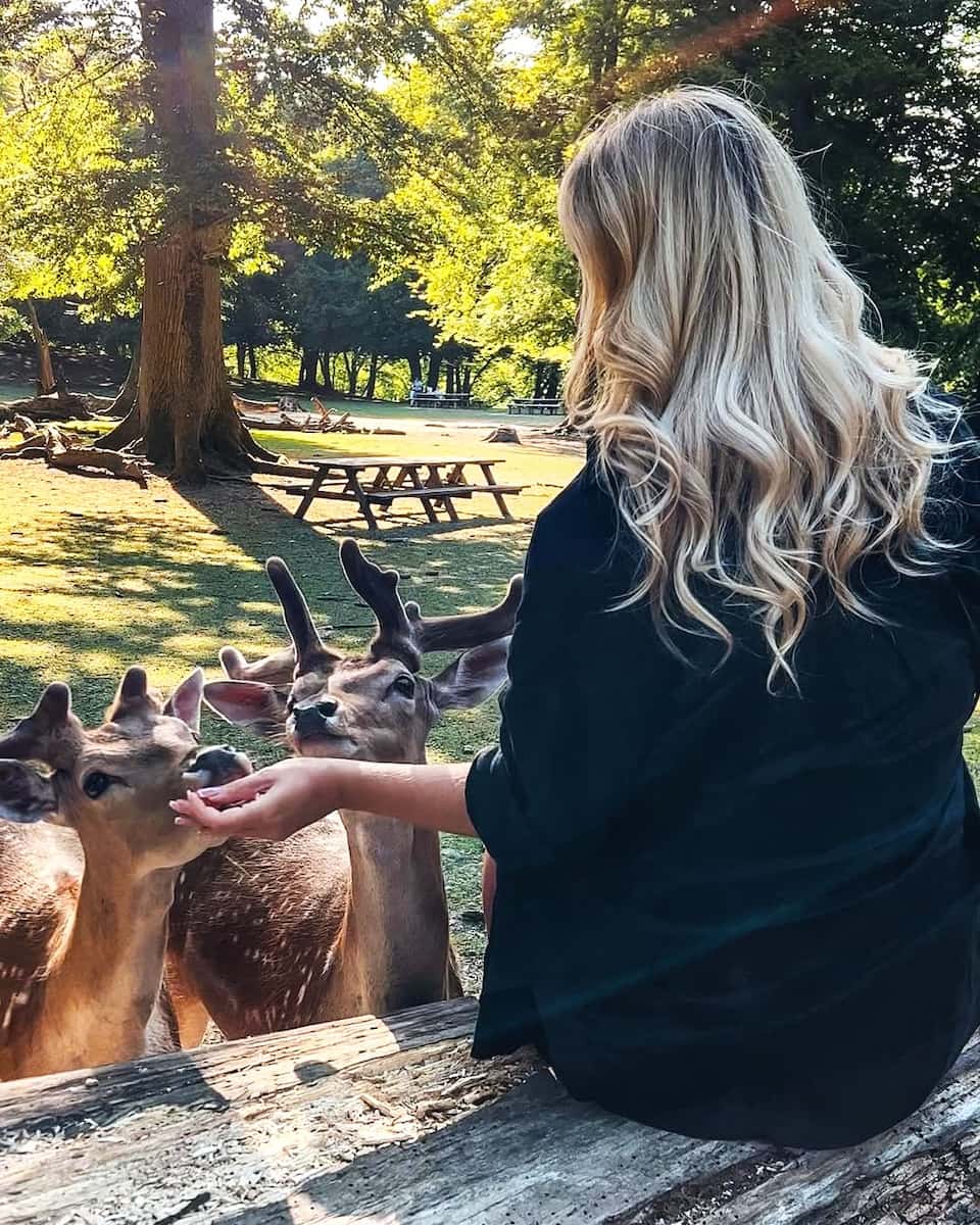 Marselisborg, Aarhus Marselisborg, Aarhus