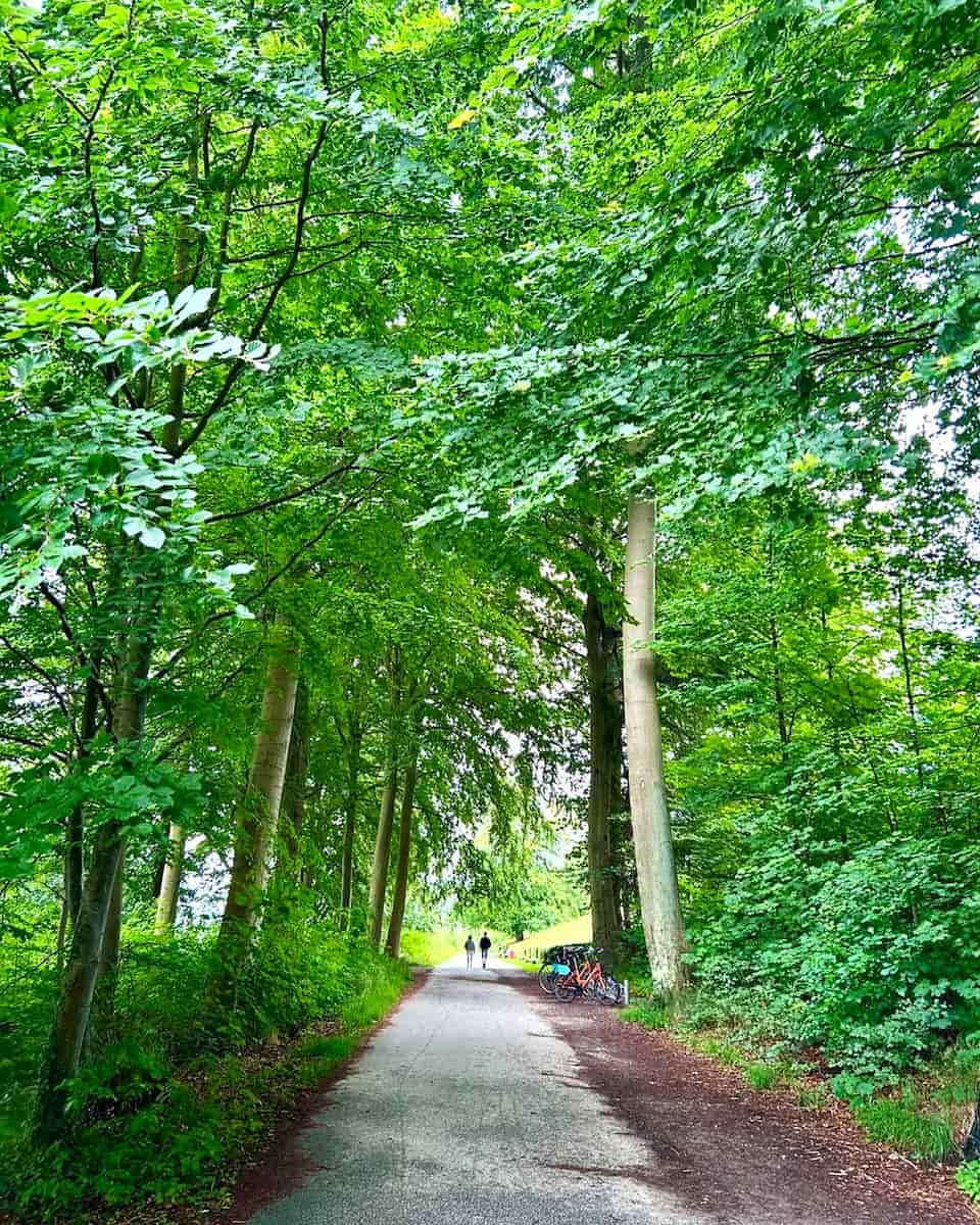 Marselisborg Forest, Aarhus Marselisborg Forest, Aarhus