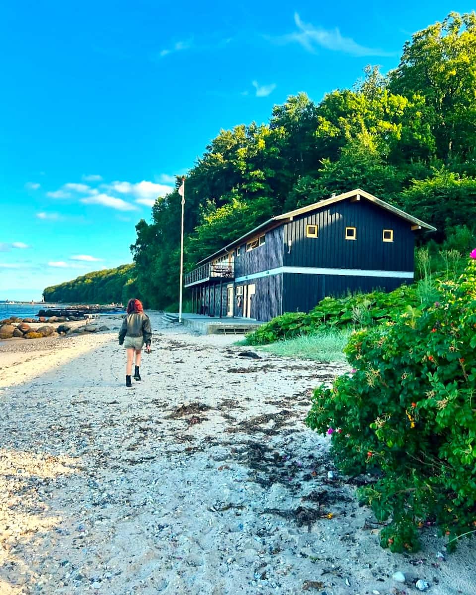 Marselisborg Forest, Aarhus Marselisborg Forest, Aarhus