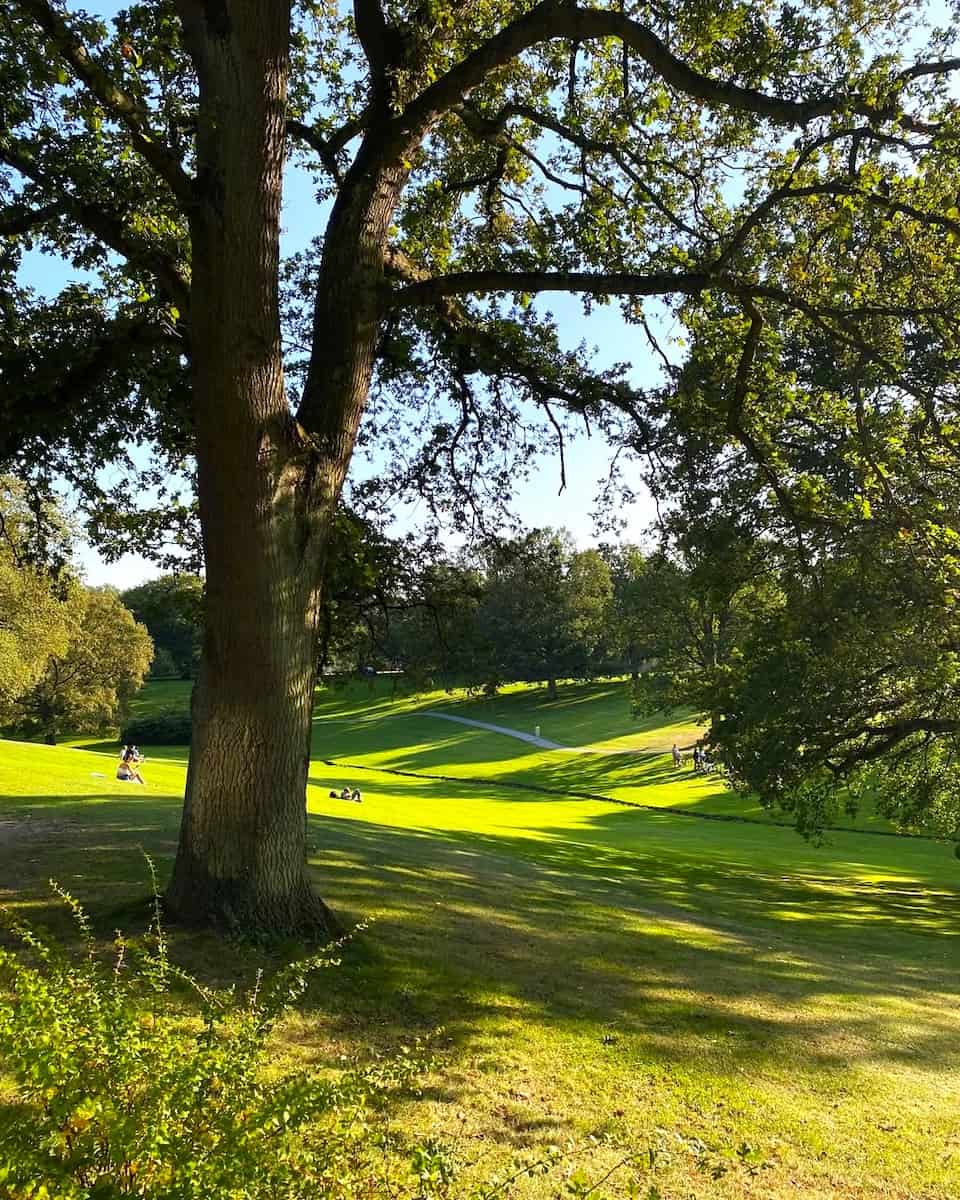 Marselisborg Forest, Aarhus Marselisborg Forest, Aarhus