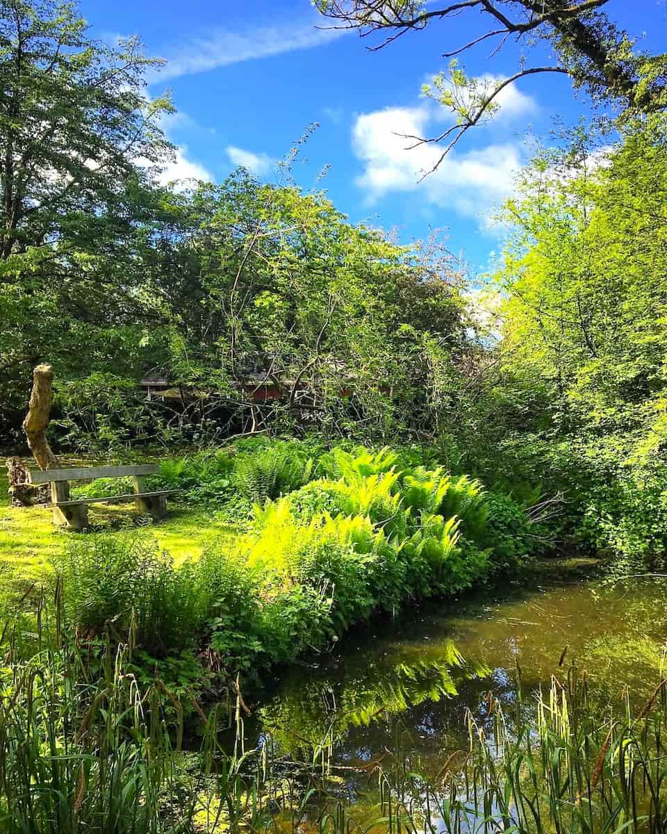 Marselisborg Forest, Aarhus Marselisborg Forest, Aarhus