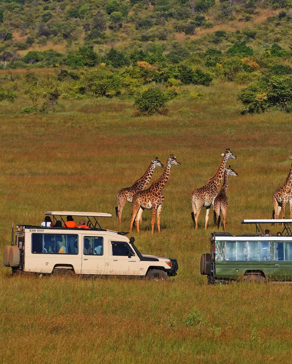 Masai Mara, Kenya Masai Mara, Kenya