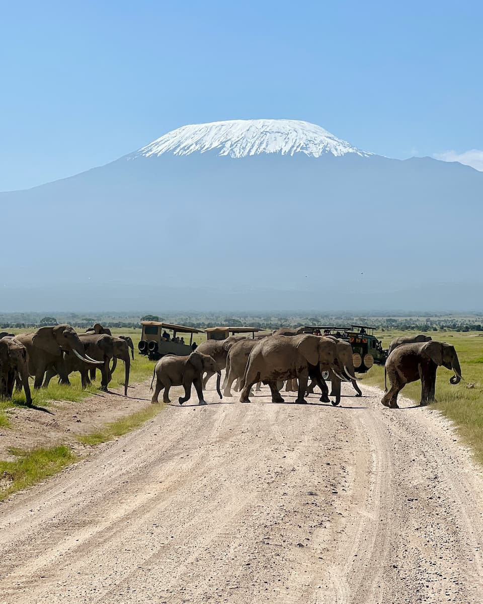 Masai Mara, Kenya Masai Mara, Kenya