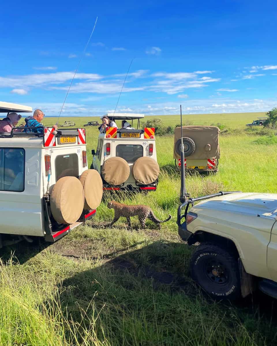 Masai Mara, Kenya Masai Mara, Kenya