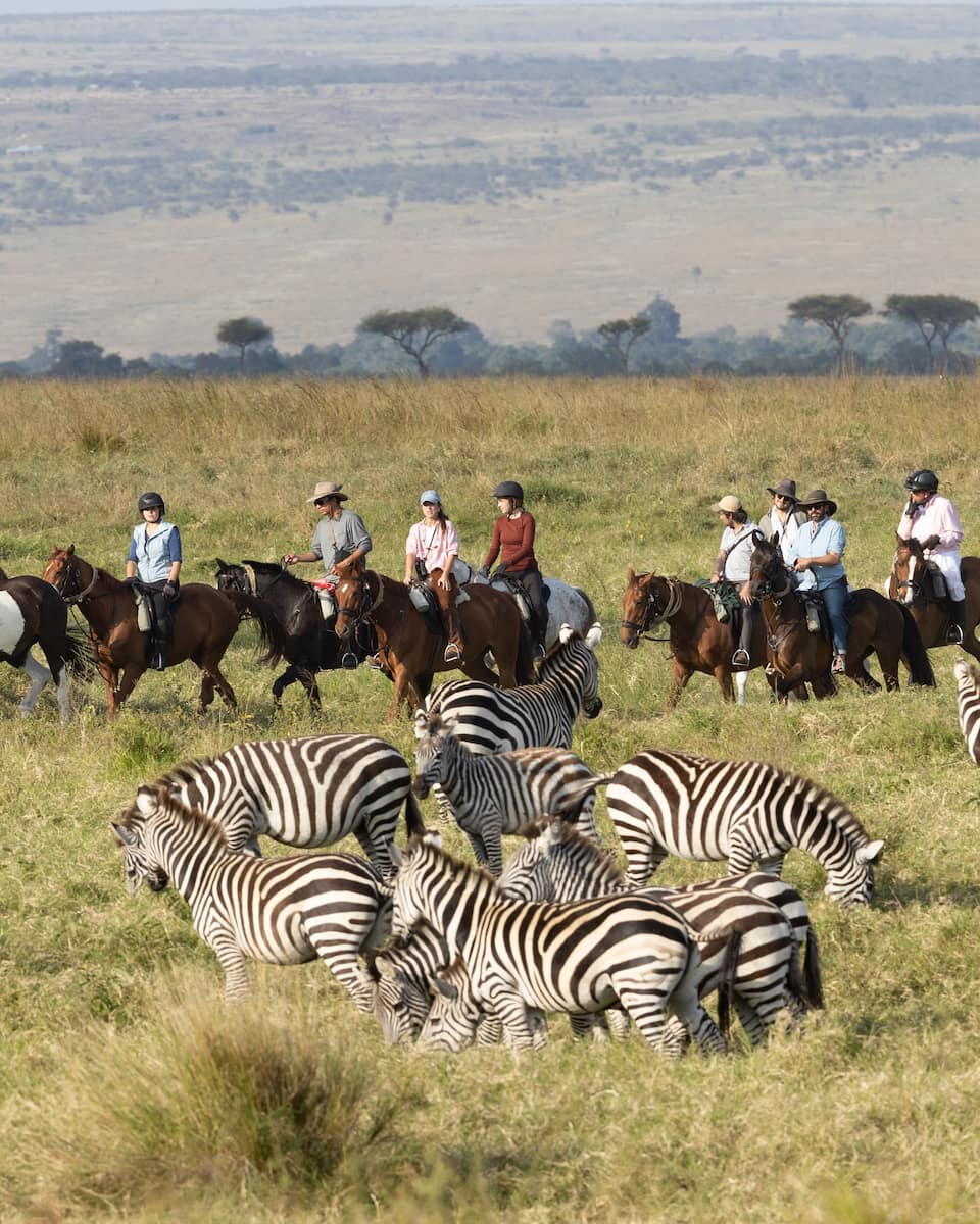 Masai Mara, Kenya Masai Mara, Kenya