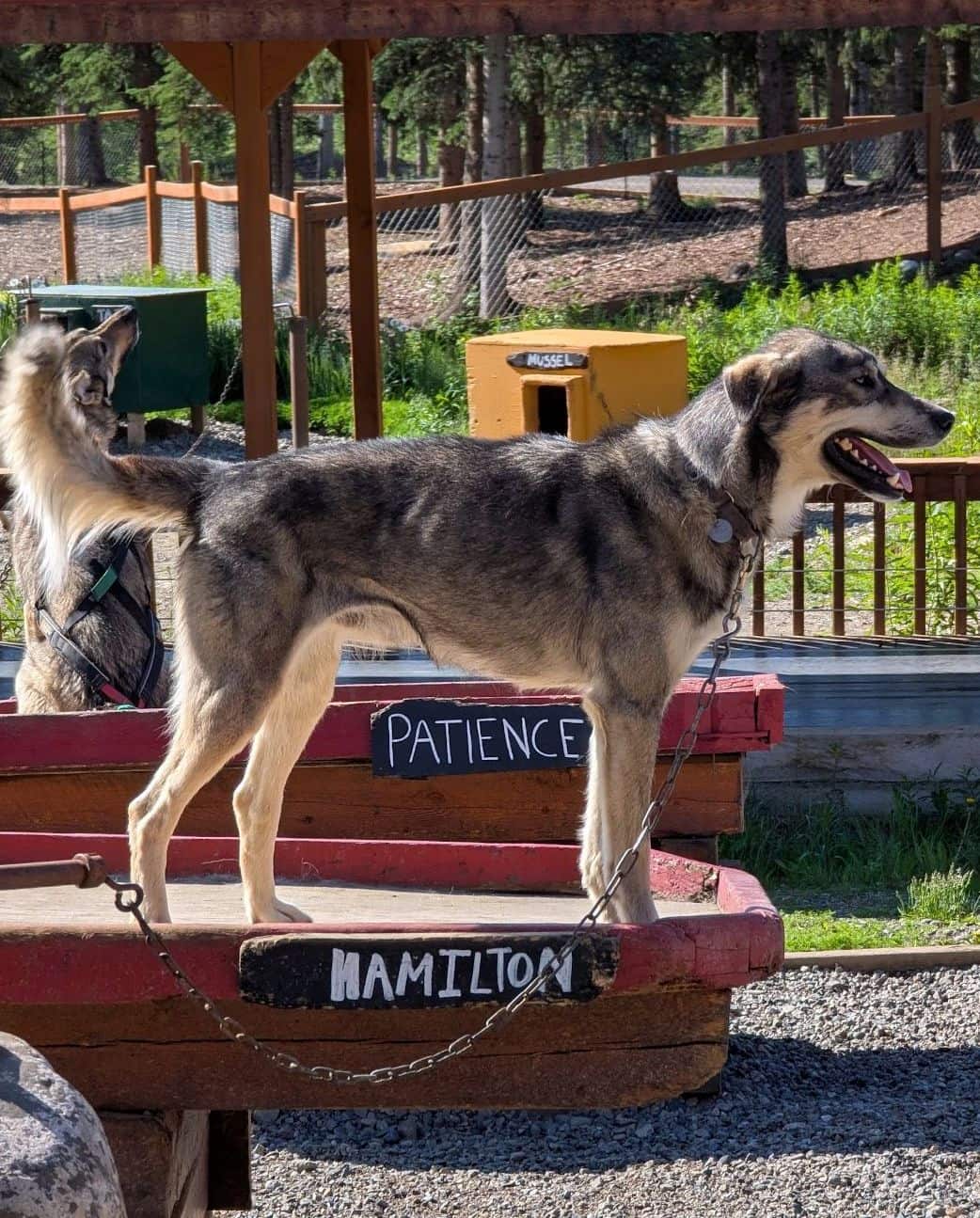 McKinley Park McKinley Park