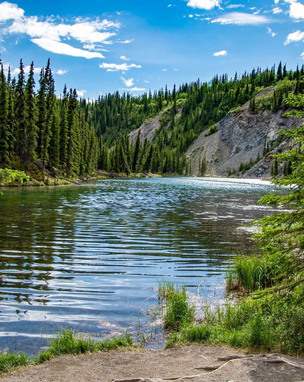 McKinley Park, Alaska McKinley Park, Alaska
