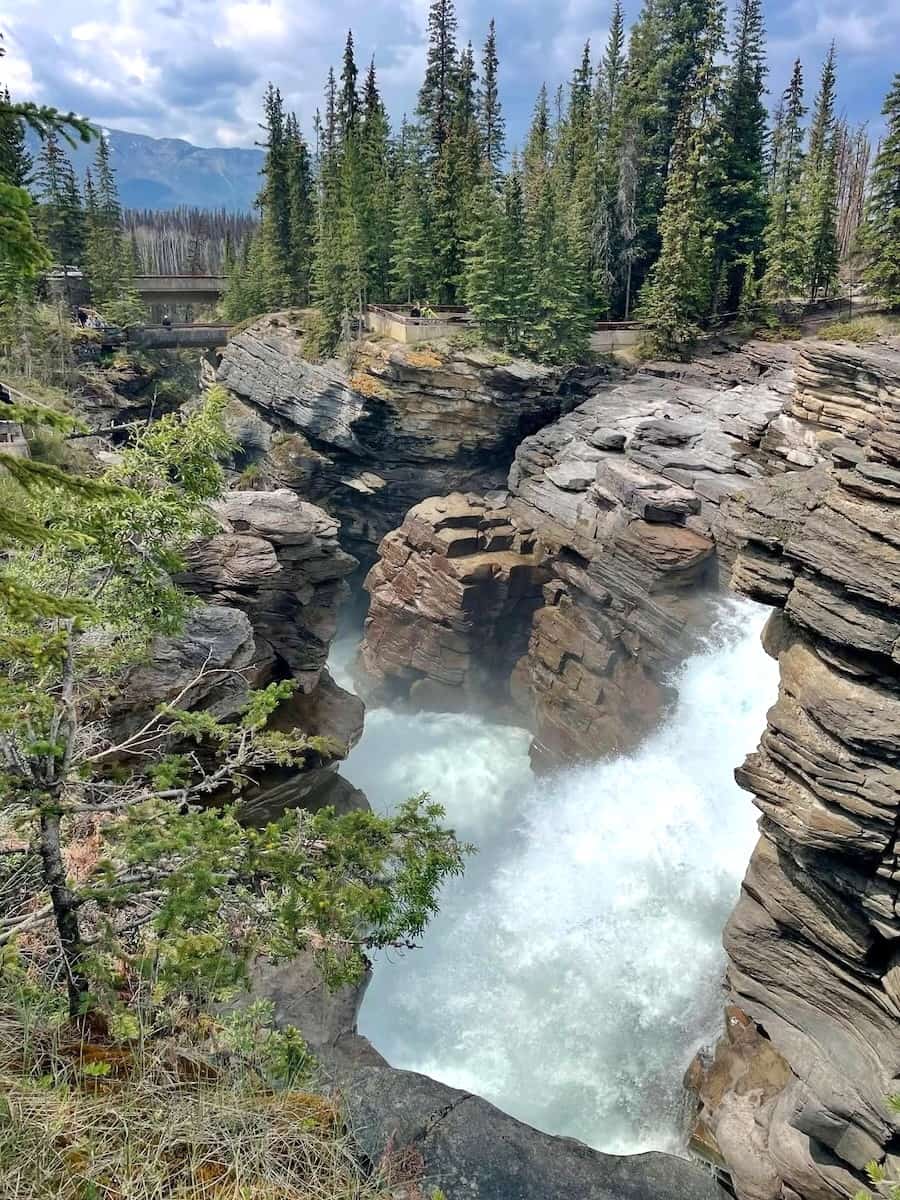 Miette Hot Springs Area Miette Hot Springs Area