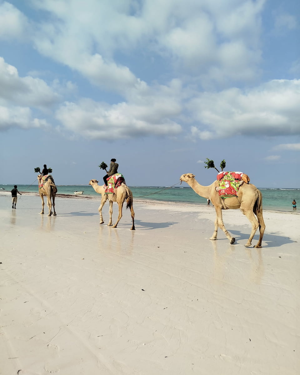 Mombasa , Kenya Mombasa , Kenya