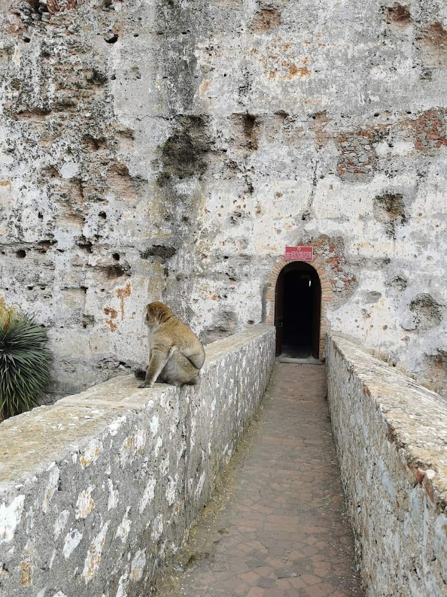 Moorish Castle, Gibraltar Moorish Castle, Gibraltar