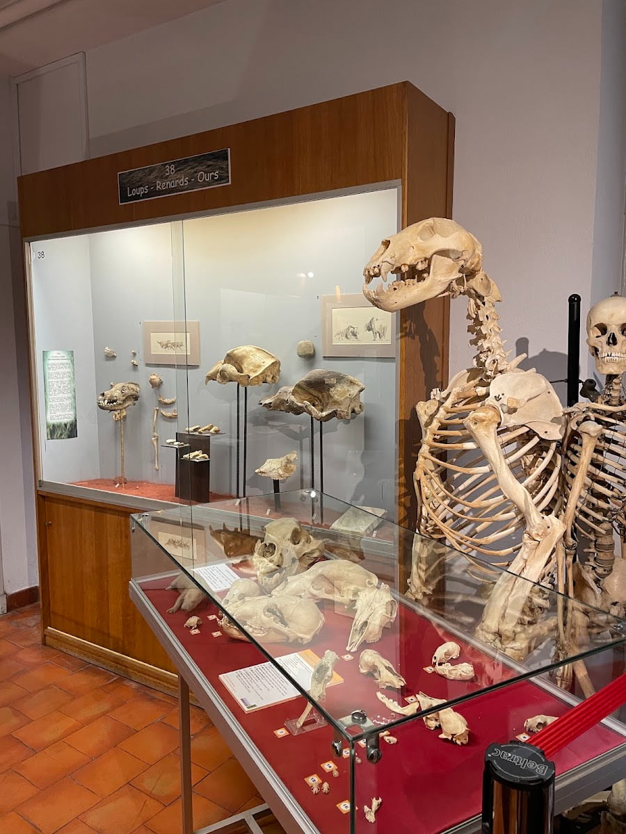 Musée Requien, Avignon Musée Requien, Avignon