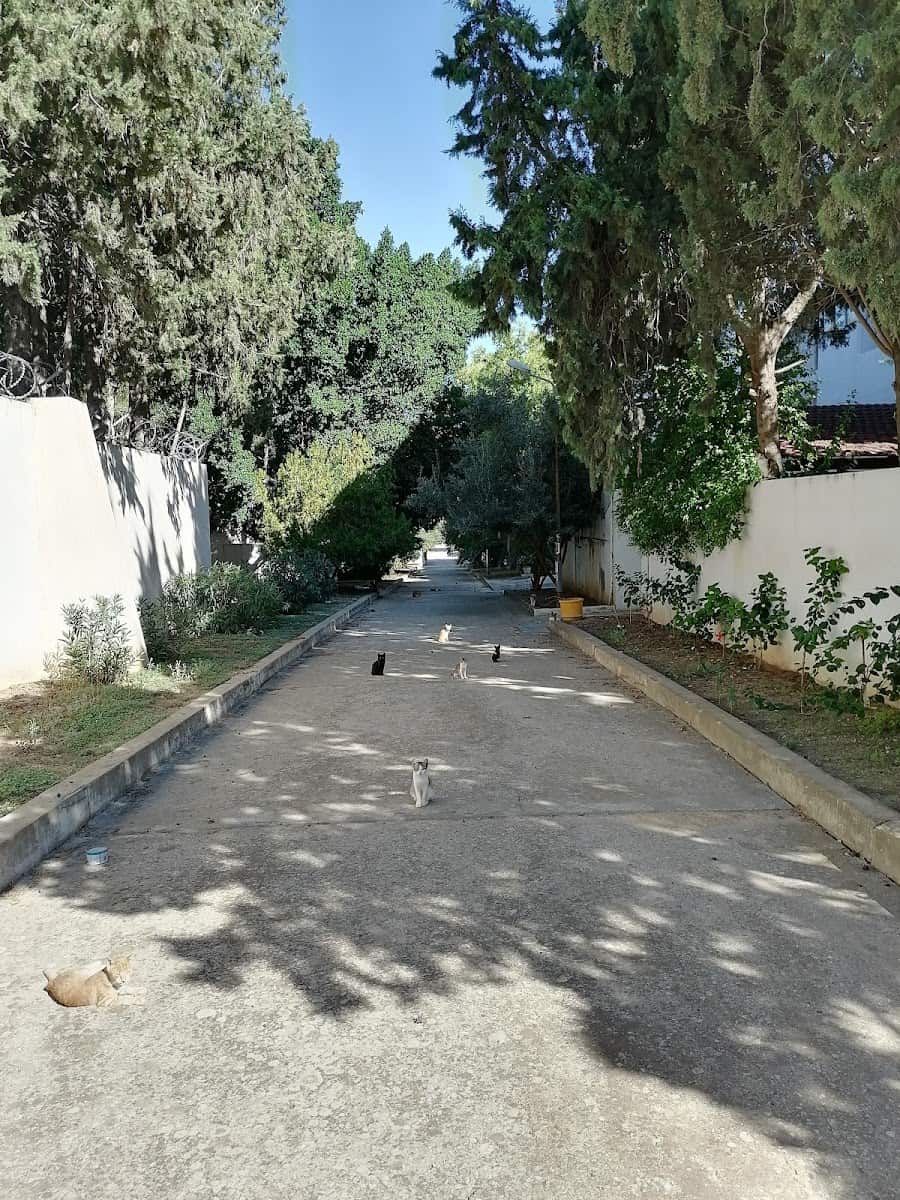 Mutuelleville, Tunis Mutuelleville, Tunis