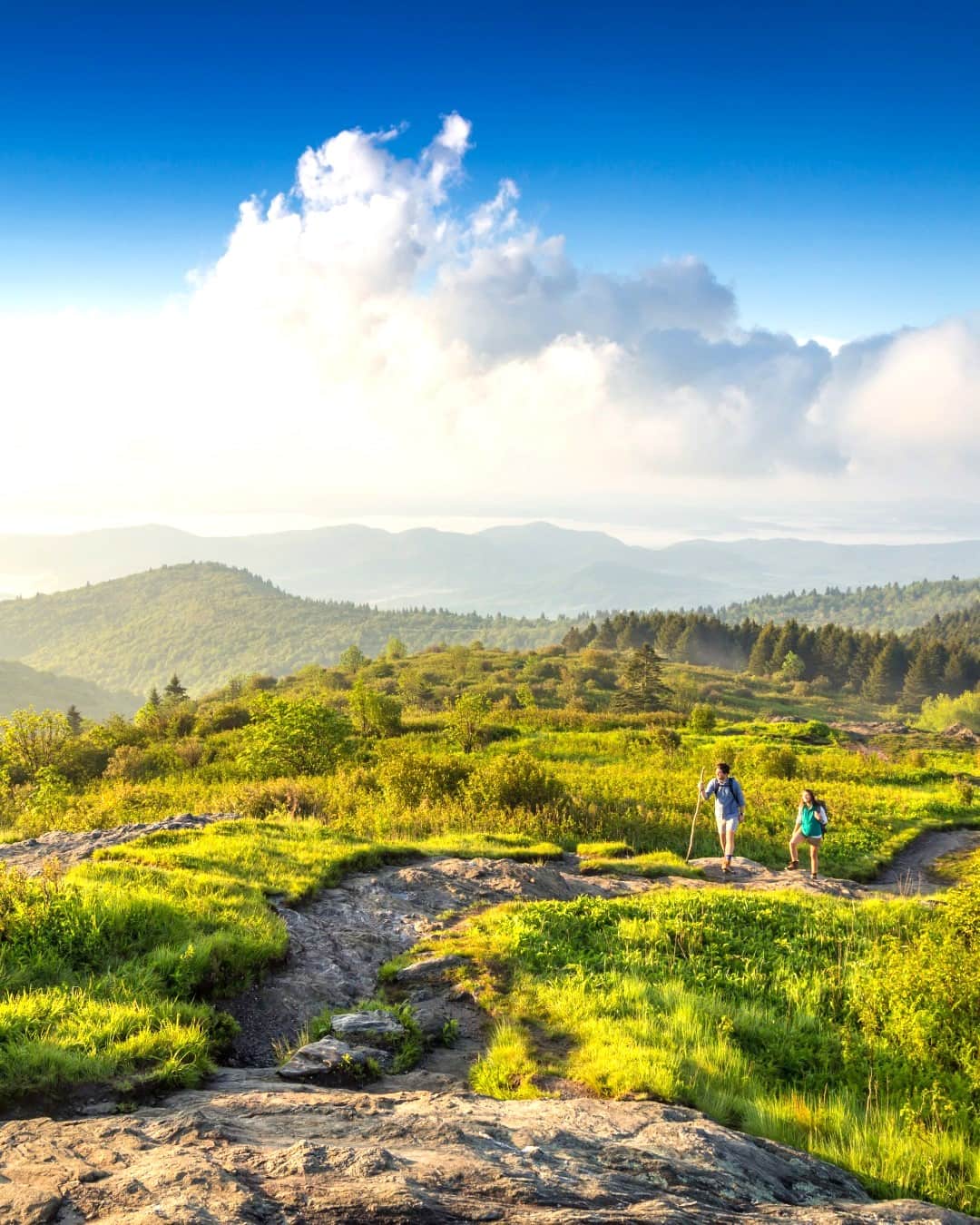 North Asheville North Asheville