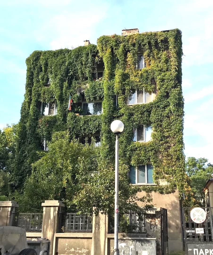 Oborishte, Sofia Oborishte, Sofia