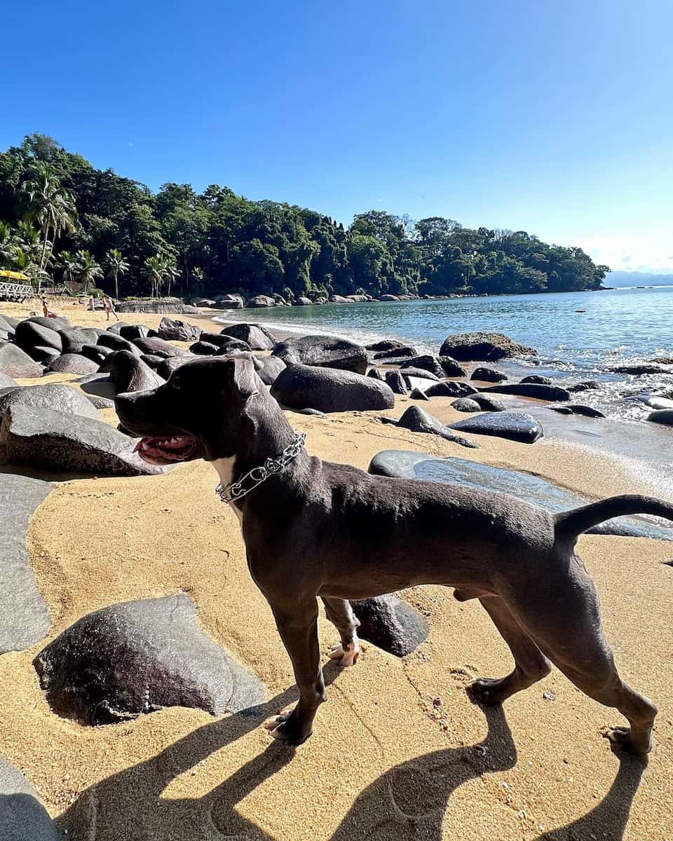 Praia Grande, Paraty Praia Grande, Paraty
