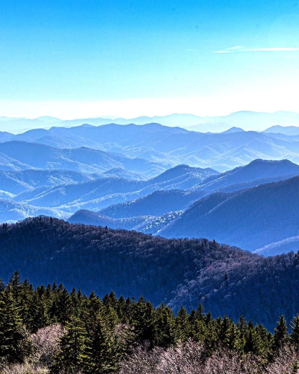 River Arts District River Arts District