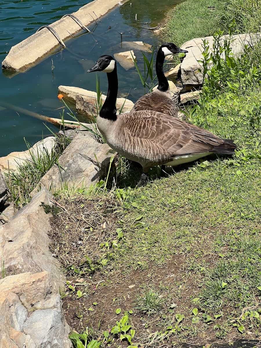 Schiller Park, Columbus, US Schiller Park, Columbus, US