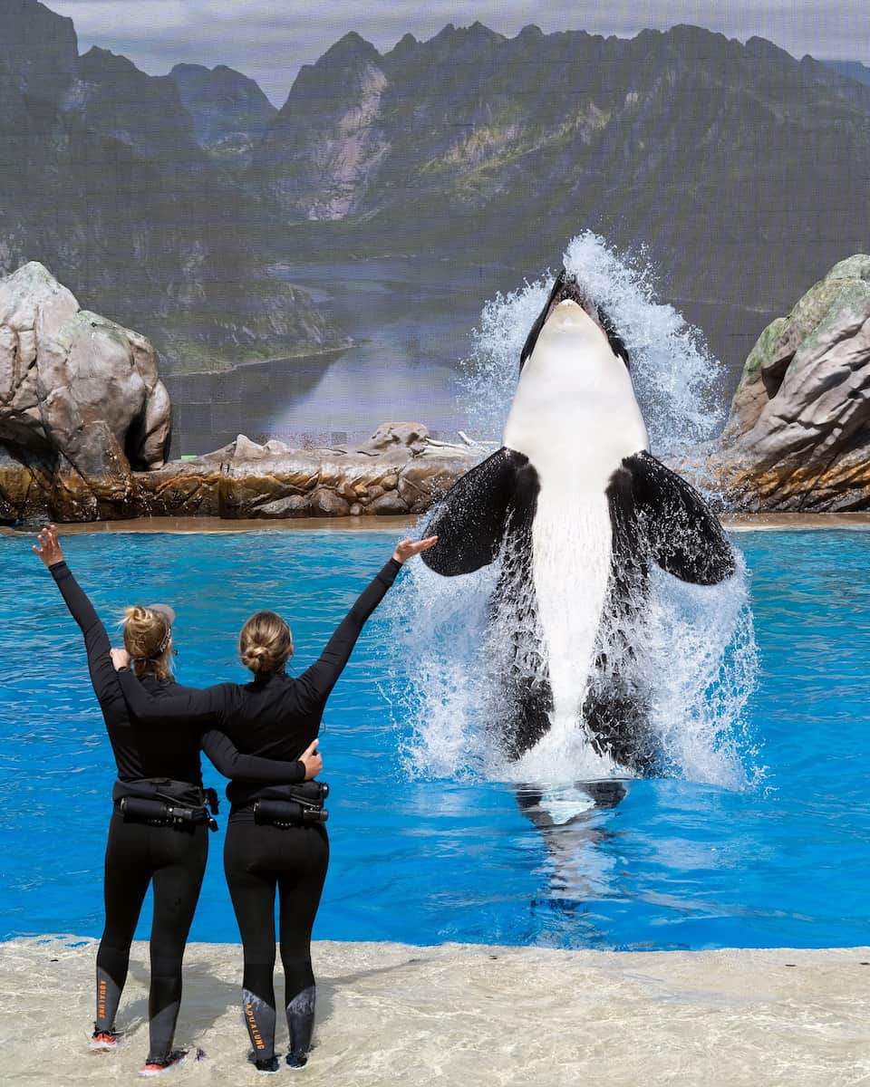 SeaWorld San Antonio SeaWorld San Antonio