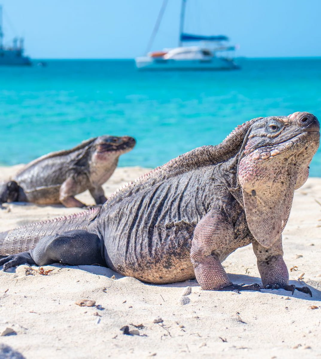 Staniel Cay, Exuma Staniel Cay, Exuma