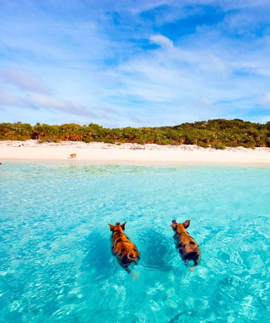 Staniel Cay, Exuma Staniel Cay, Exuma