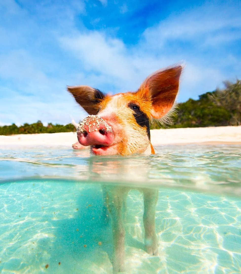 Staniel Cay, Exuma Staniel Cay, Exuma