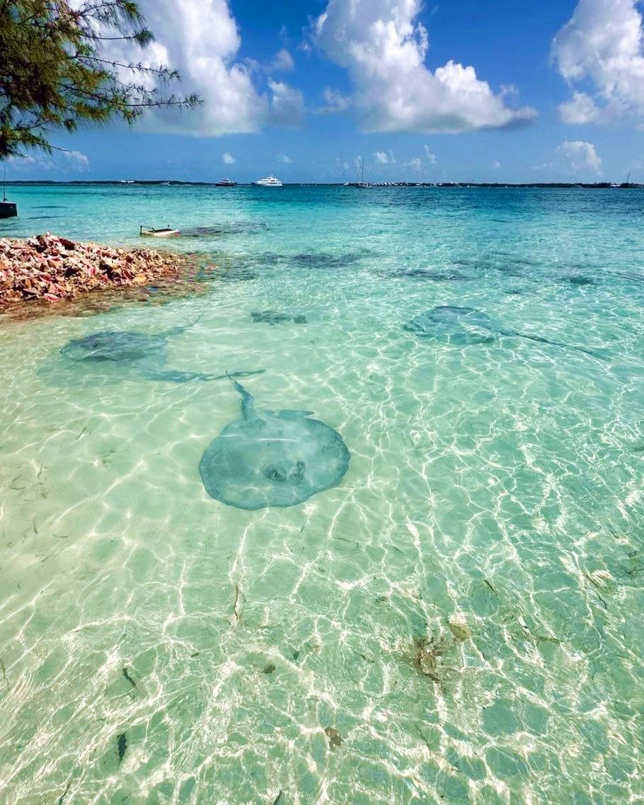 Stocking Island, Exuma Stocking Island, Exuma