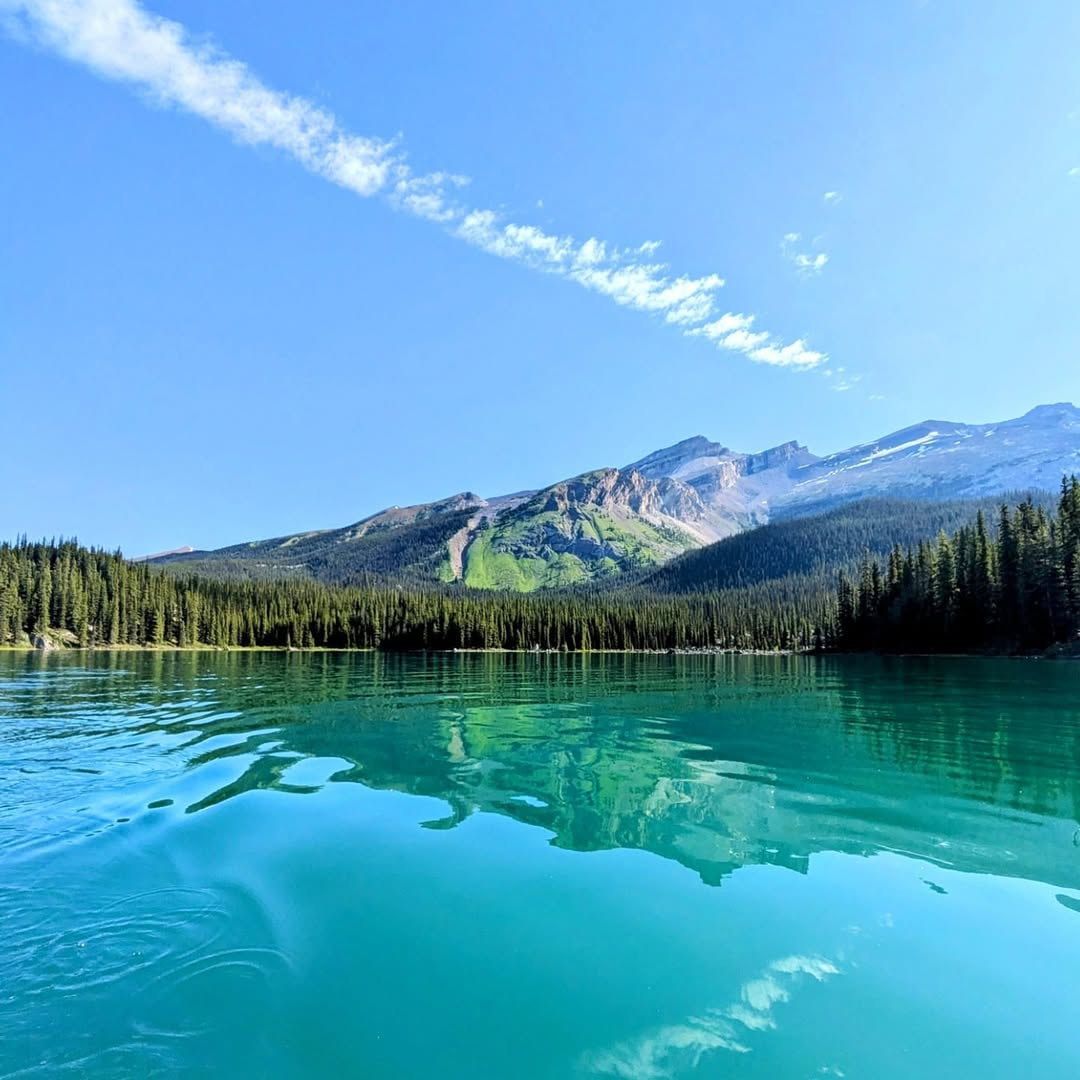 Sunwapta Falls Area Sunwapta Falls Area