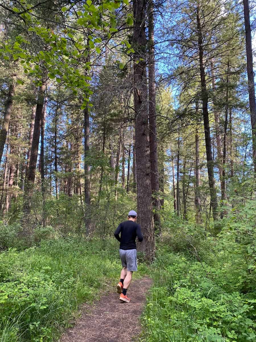 The Rattlesnake National Recreation Area, Missoula Montana, Montana The Rattlesnake National Recreation Area, Missoula Montana, Montana