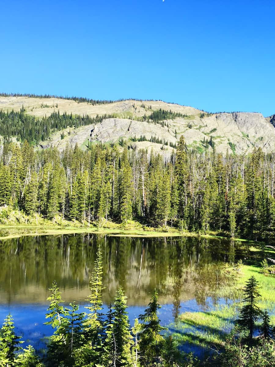The Rattlesnake National Recreation Area, Missoula Montana, Montana The Rattlesnake National Recreation Area, Missoula Montana, Montana