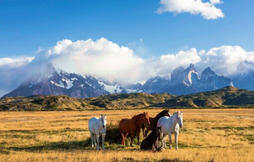 Torres del Paine, Patagonia