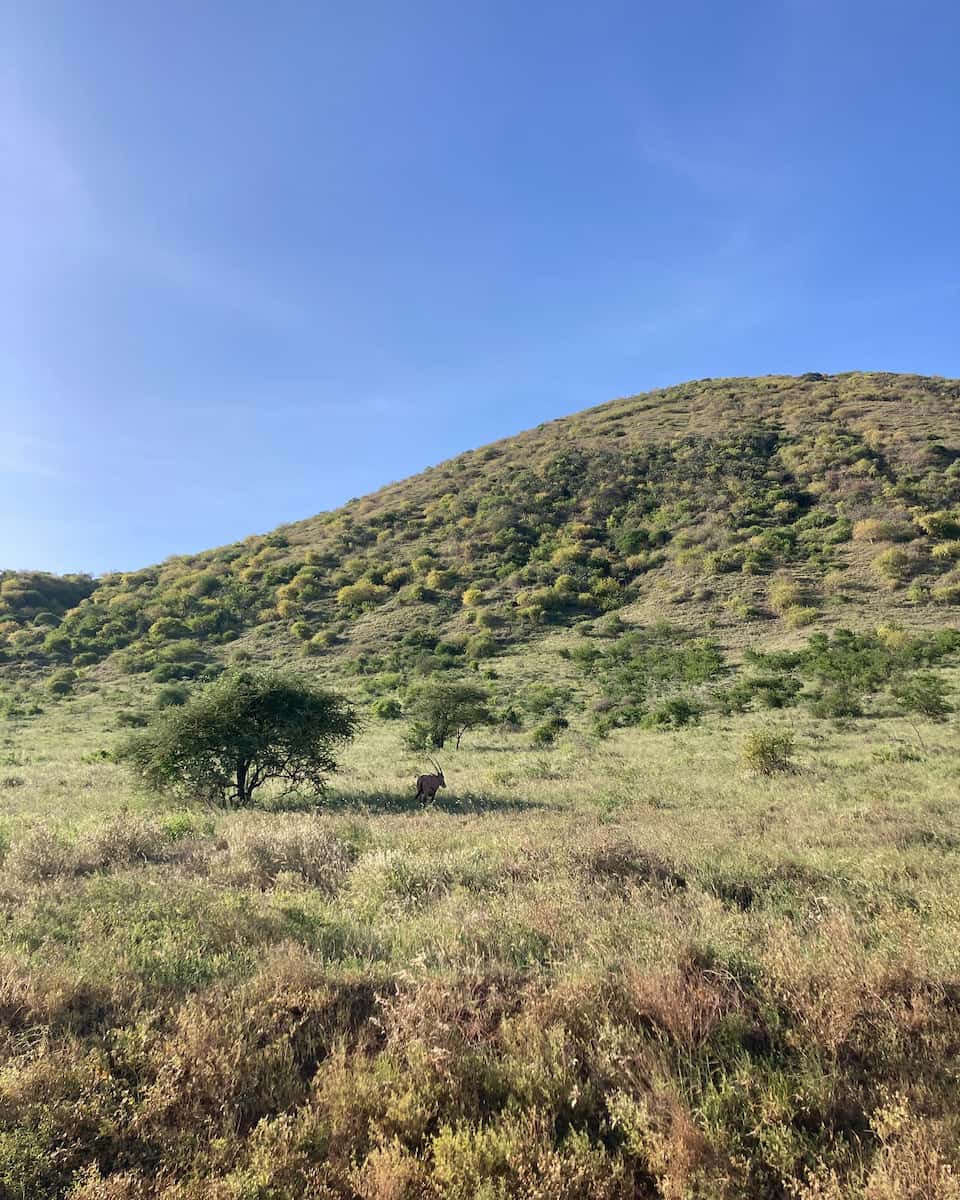 Tsavo National Park, Kenya Tsavo National Park, Kenya