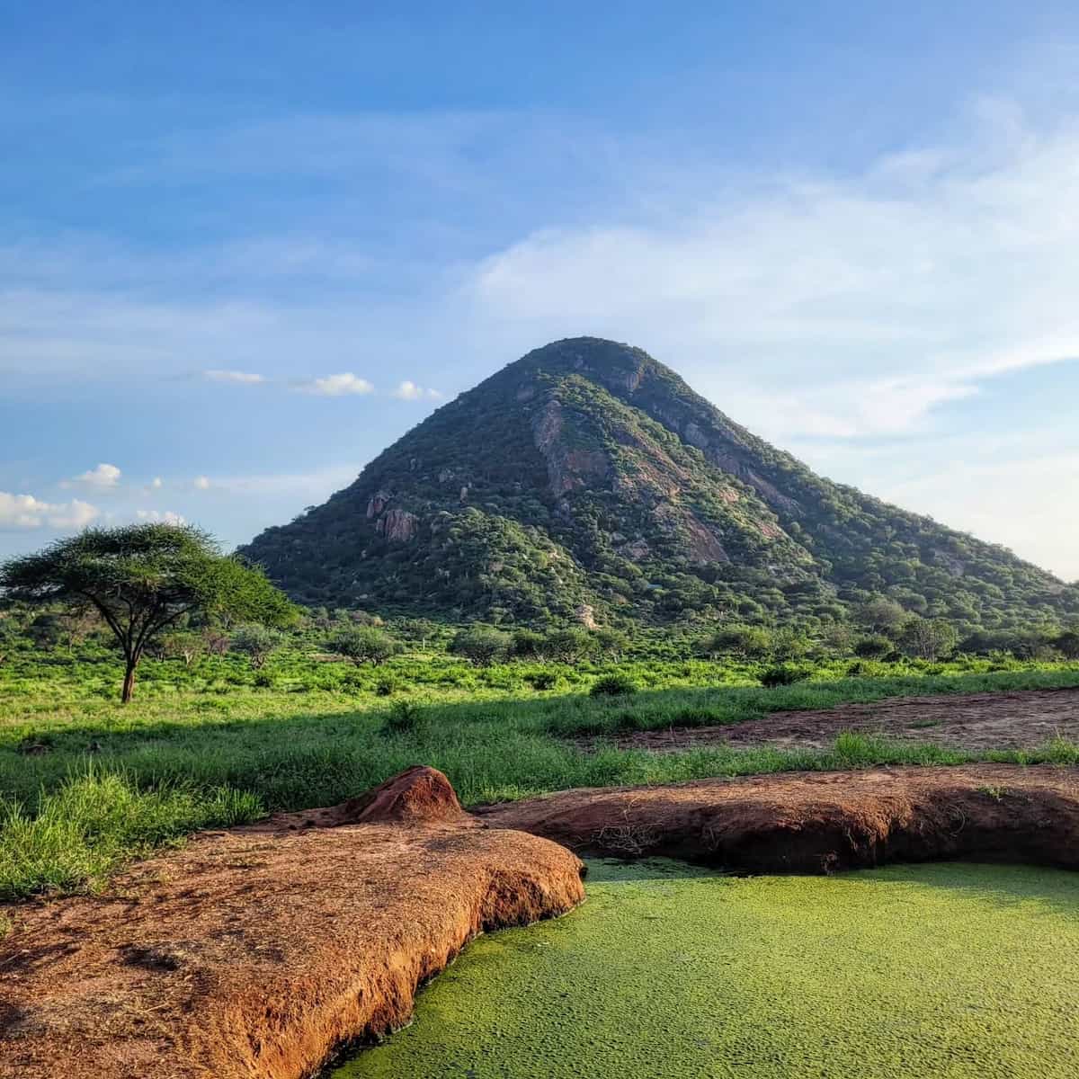 Tsavo National Park, Kenya Tsavo National Park, Kenya