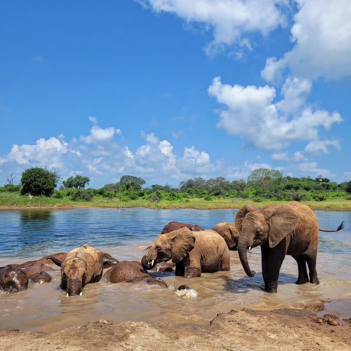 Tsavo National Park, Kenya Tsavo National Park, Kenya