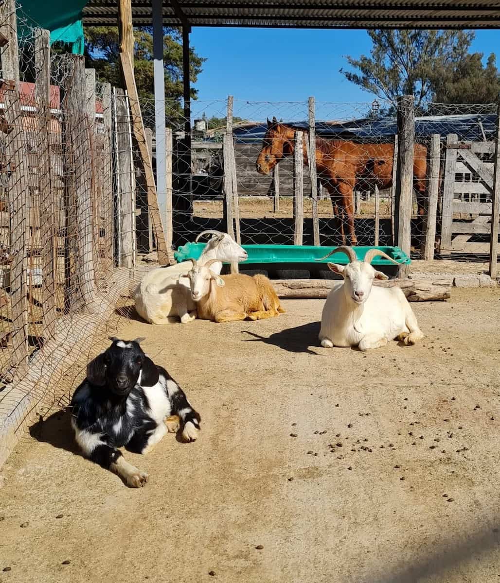 Universidad Católica de Salta Universidad Católica de Salta