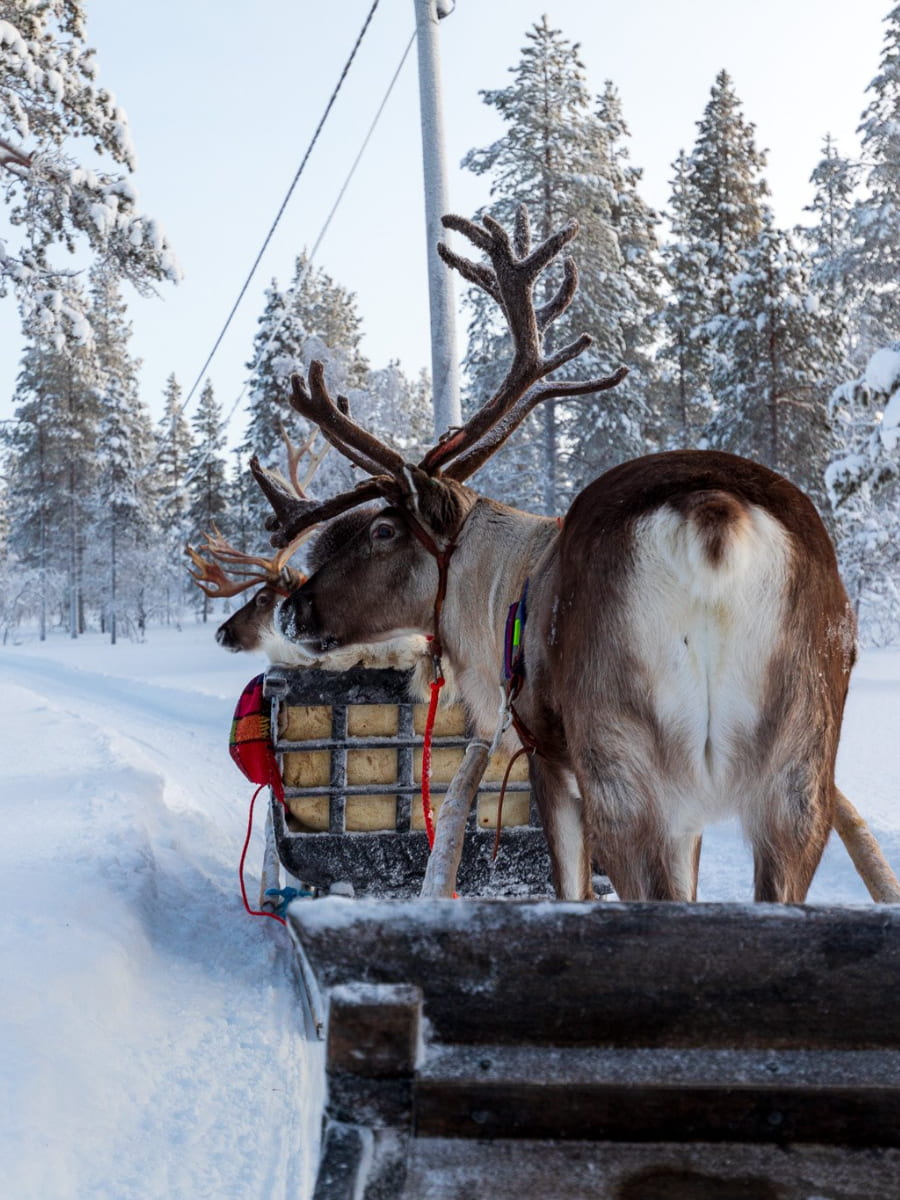 Urho Kekkonen National Park, Lapland, Finland Urho Kekkonen National Park, Lapland, Finland