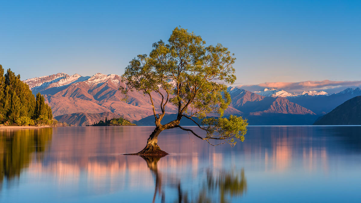 Wanaka