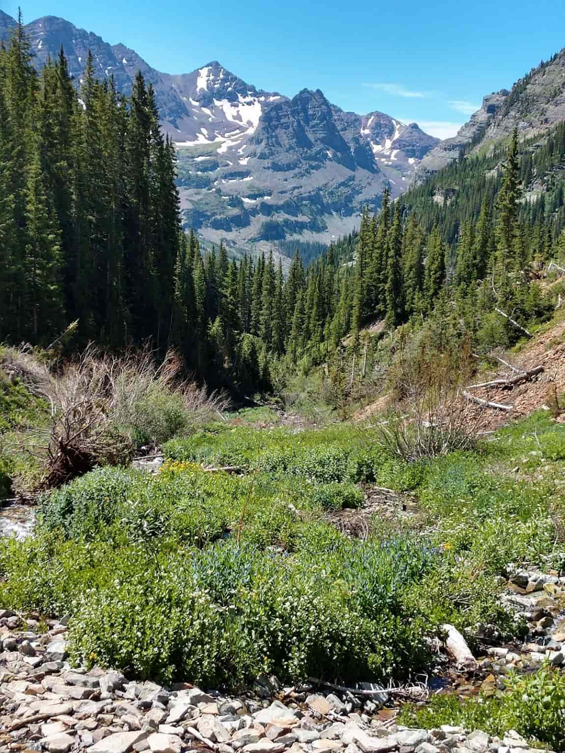 West End Aspen West End Aspen