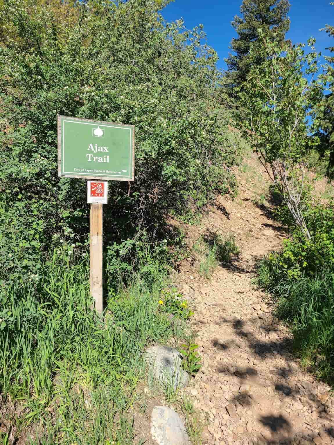 West End Aspen West End Aspen