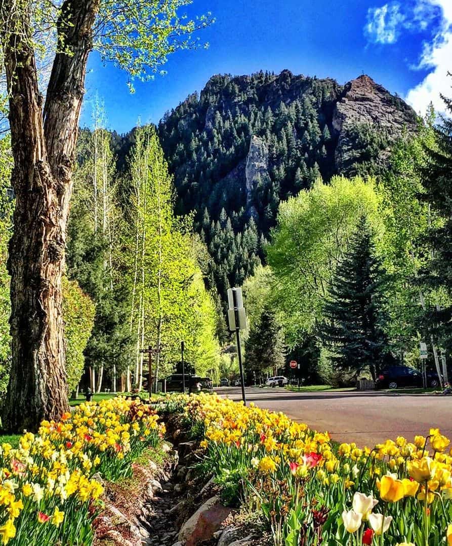 West End Aspen West End Aspen