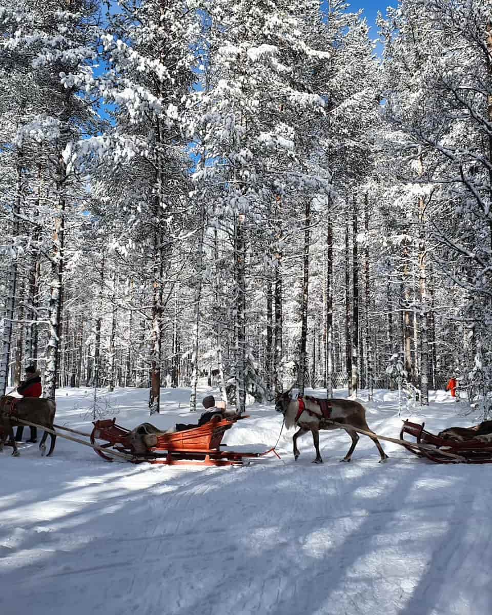 Wilderness Areas, Rovaniemi Wilderness Areas, Rovaniemi