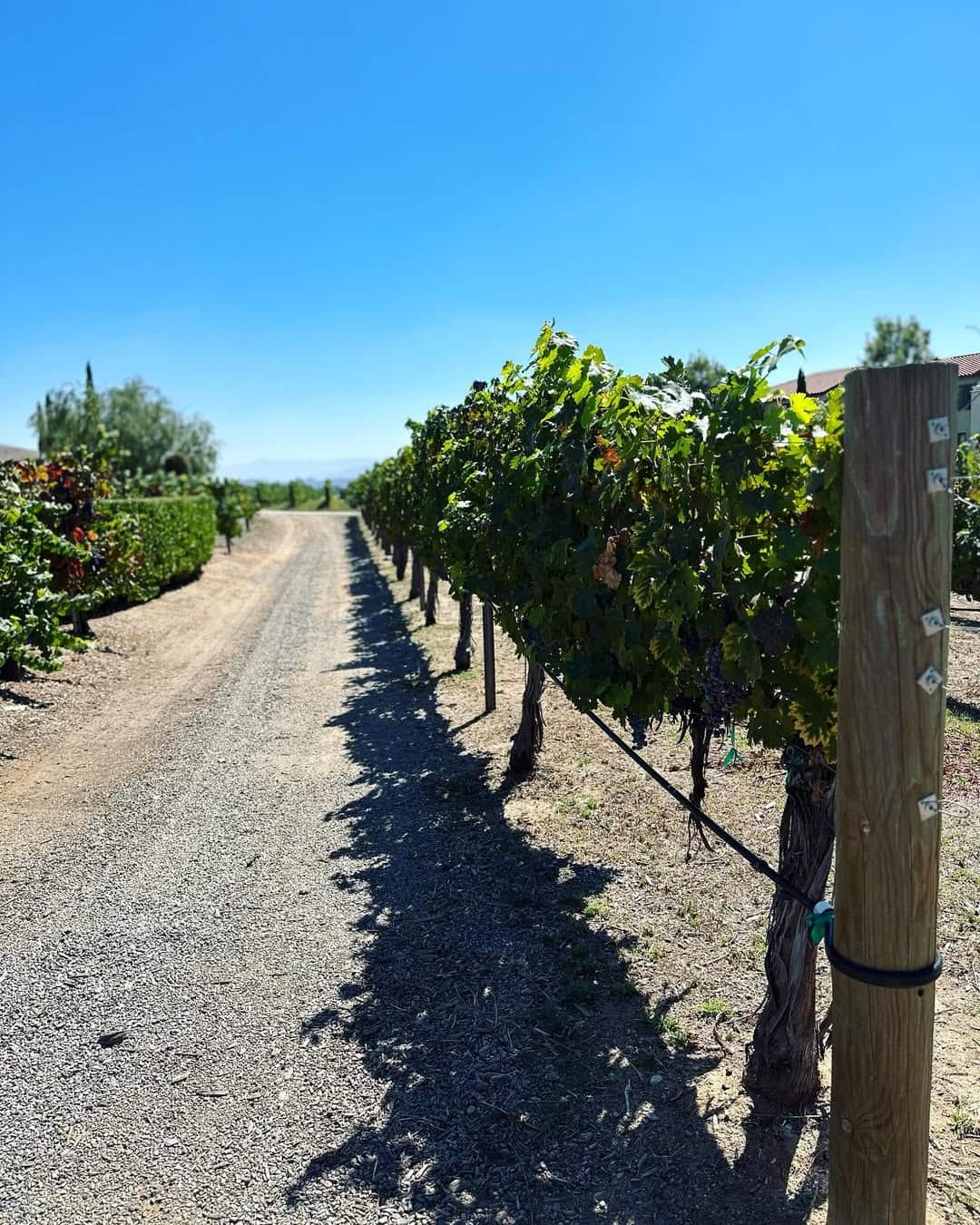 Wine Country, Temecula Valley Wine Country, Temecula Valley