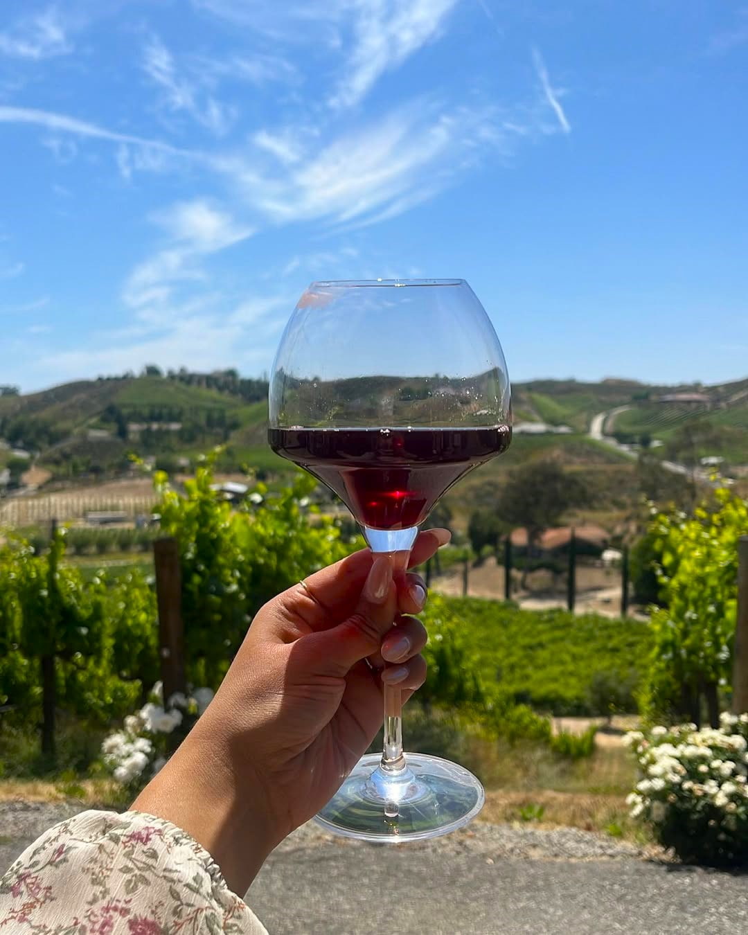 Wine Country, Temecula Valley Wine Country, Temecula Valley