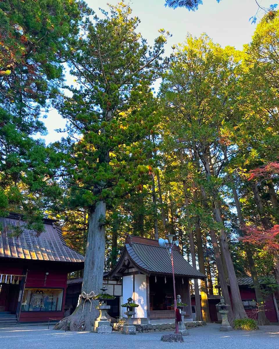 Yamanakako, Mount Fuji Yamanakako, Mount Fuji