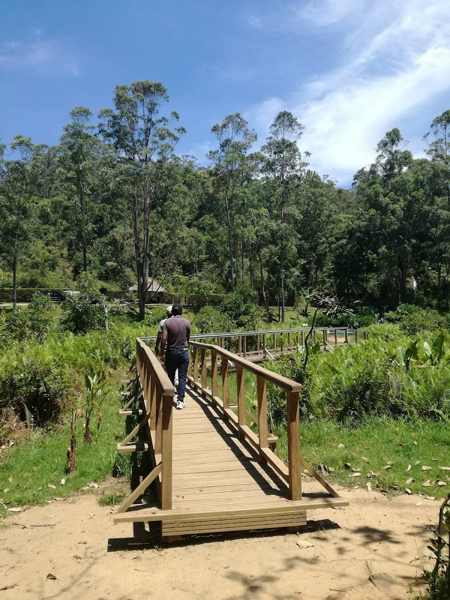 Andasibe-Mantadia National Park, Madagascar Andasibe-Mantadia National Park, Madagascar
