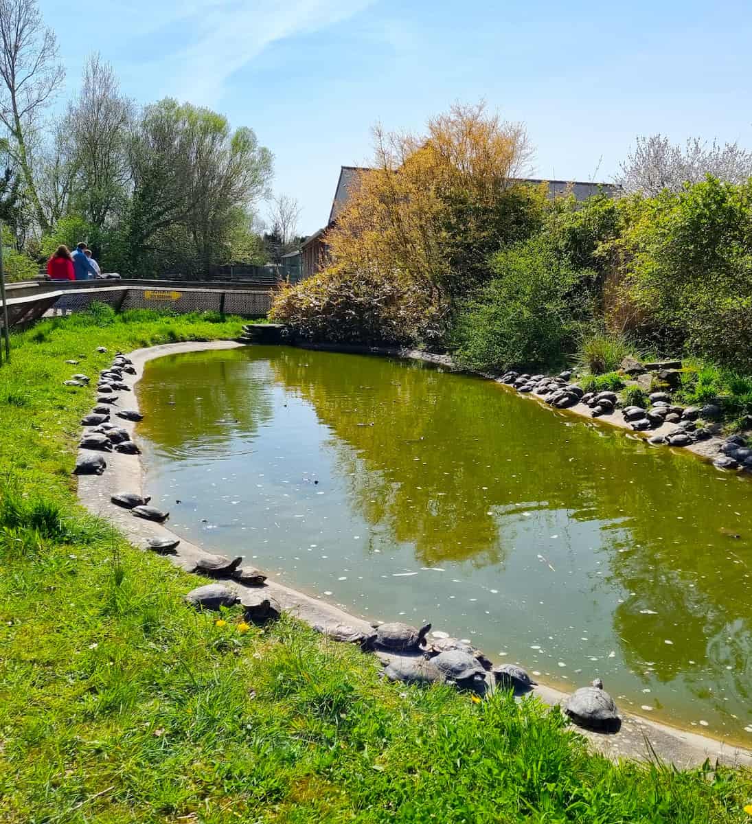 Beauvoir, Mont Saint Michel Beauvoir, Mont Saint Michel